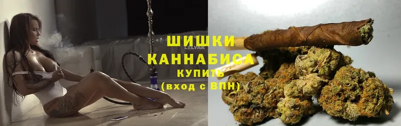 цена   Конаково  даркнет наркотические препараты  Шишки марихуана White Widow 